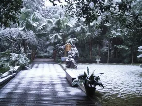 Qionglai Ruiyuan Homestay - Image 3