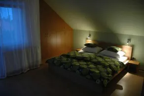 Sari Vendeghaz - Image 4