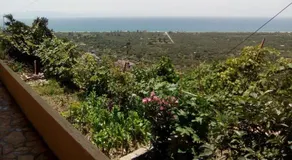 Ona's House - Image 2