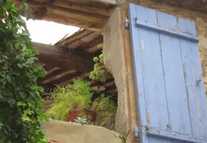 La Vigne Bleue - Image 5