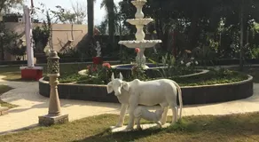 Prithvi Farm Cottag - Image 3
