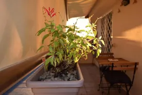 Le Petite Resort B&B - Image 2