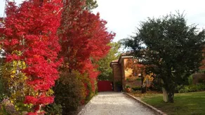 Winston Cottage at Three Sisters - Image 2