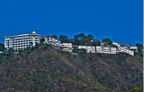 The Terrace - Image 5