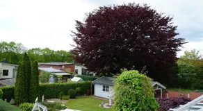 Ferienhaus Meyersick - Image 3