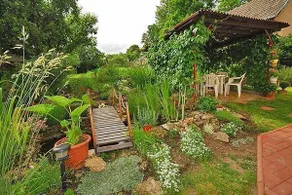 Privat Klonga - Image 5
