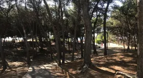Appartamento sulla spiaggia - Image 4