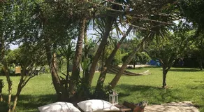 Quintal D'Avo - Image 2