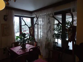Cola Panzio - Image 2