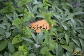 Hotel Stela - Image 2