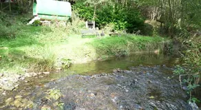 Romany Wagon Retreat - Image 4