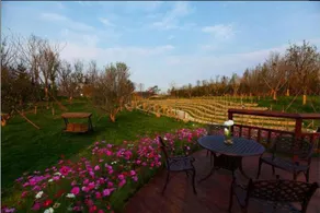 YT Longhu Seaview Garden Holiday Villa - Image 2