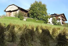 Pension Steigerhof - Image 4