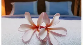 The One Place - Image 2
