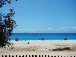 Fishop At Altea - Image 2