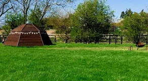Honey Pod Farm Bell Tents - Image 4