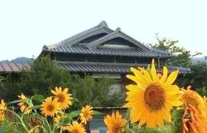 Noka Minshuku Himawari Awajishima - Image 1
