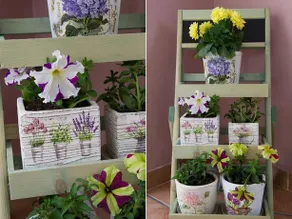 Mirella Studios - Image 3