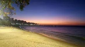 Landscape - Modus Style - Image 3