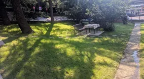 Cvijiceva 1 - Image 3