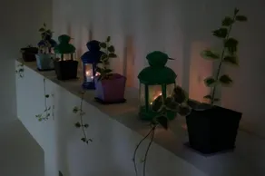 Cantonese Garden - Image 2