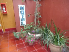 Hotel Apolo - Image 4