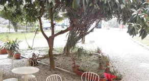 Alle Lagune Bed & Breakfast Mestre - Image 3