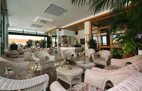 Chic - Image 3