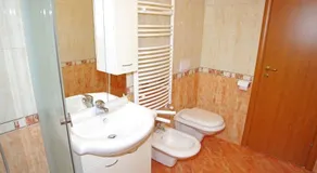 Brace Ilic 1 - Image 4