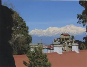 Viramma Villa - Image 2