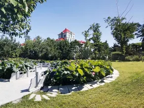 Yantai Dongshan Guesthouse - Image 4