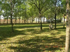 Camping Le Fou Du Roi - Image 4