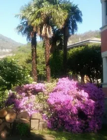 Casa Orisca - Image 4