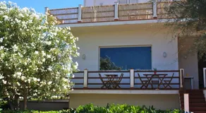 Magnolia Gialla - Image 2