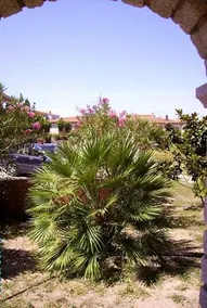 Casa vacanze valledoria - Image 3