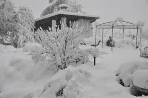 Premiata Osteria Dei Fiori - Image 4