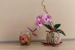 Guest House Bigora - Image 3