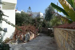 Torbamex - Image 4