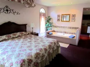 Satellite Motel - Image 5