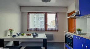 Appartement Spacieux Schiltigheim - Image 2