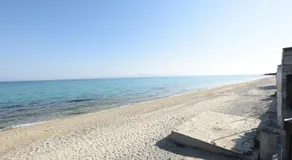 Seafront palm villa - Image 3