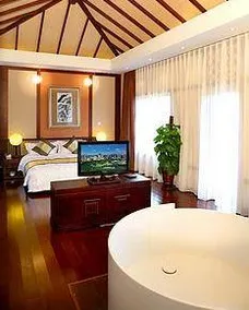 Golden Pebble Tang Dynasty International Hot Spring Resort - Image 4