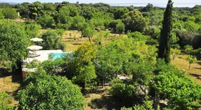Holiday Home Mut - Image 2