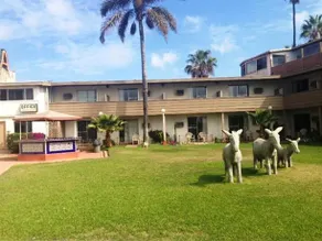 Hotel Bahia - Image 2
