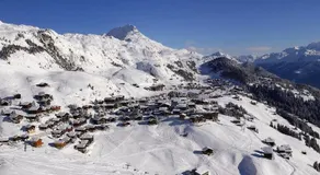 Almenrausch - Image 3