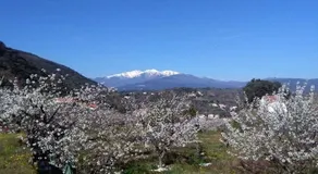 Vacances Et Weekends A Ceret - Image 5