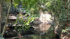 Rain Forest Ayur County Resort - Image 4