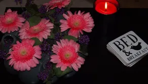 Bed & Breakfast De Hassehof - Image 2