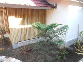 Cemara Meno Bungalow - Image 4