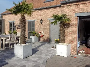 B&B Agnes - Image 3